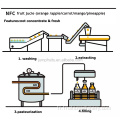 Ligne de traitement de la production de fruits du jus d&#39;agrumes NFC